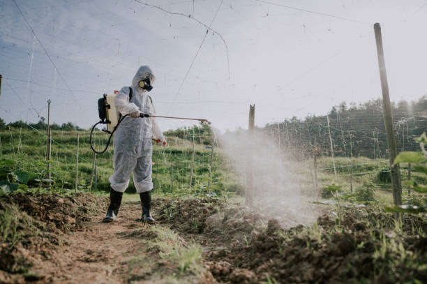 Best Best Pest Control Companies  in Coopersville, MI