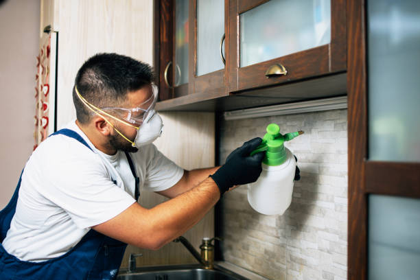 Best Rat Extermination Near Me  in Coopersville, MI