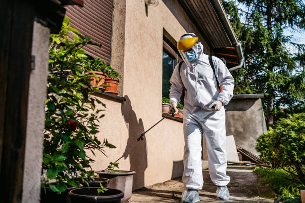 Best Pest Control Near Me  in Coopersville, MI
