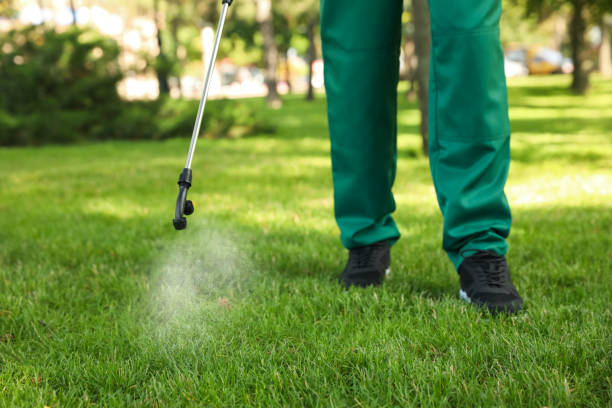 Best Affordable Pest Control Services  in Coopersville, MI