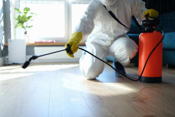 Best Termite Control Services  in Coopersville, MI