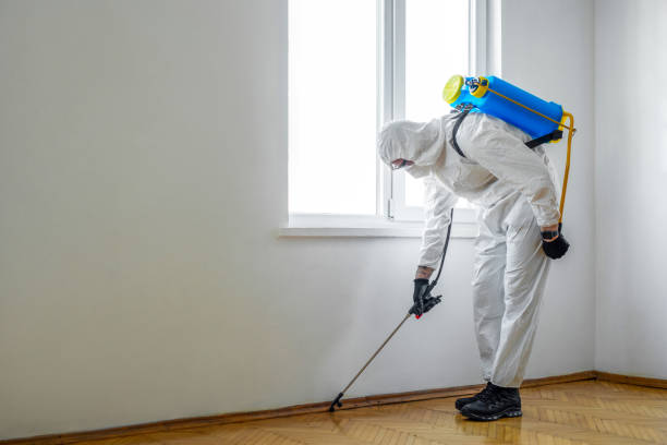 Best Flea Control Services  in Coopersville, MI