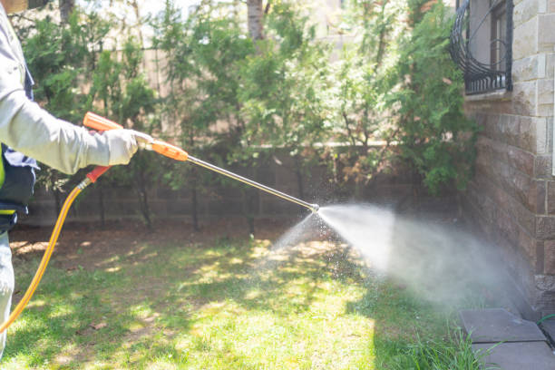 Best Spider Control Near Me  in Coopersville, MI
