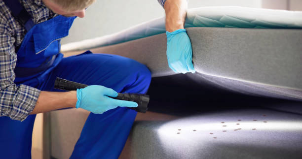 Best Mosquito Control Services  in Coopersville, MI