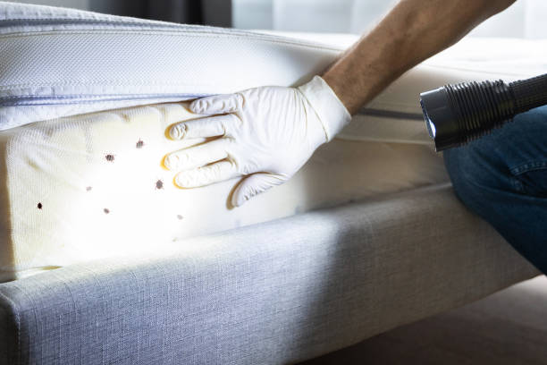 Best Pest Removal Services  in Coopersville, MI
