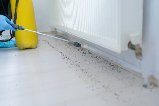 Best Best Pest Control Companies  in Coopersville, MI