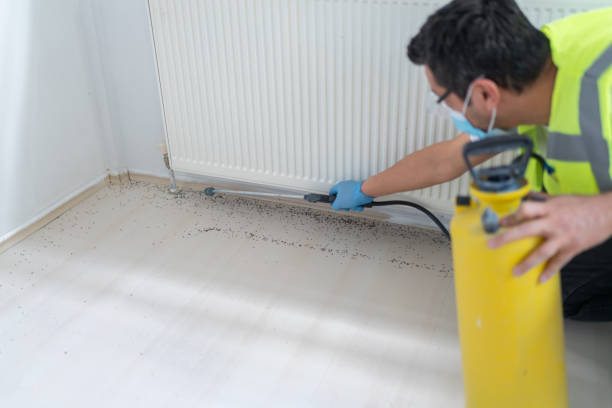 Best Affordable Pest Control Services  in Coopersville, MI