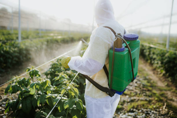 Best Cockroach Control Services  in Coopersville, MI